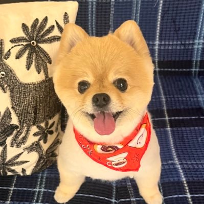 maribo25733816's profile picture. 