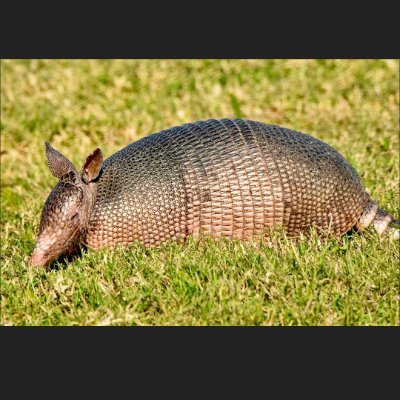 DonGraven24652's profile picture. Polite but unlikable