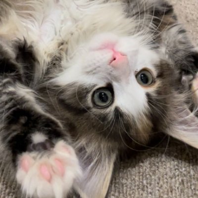 dddaxys111's profile picture. なんとか生きてる