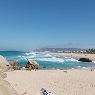 Champi710's profile picture. 