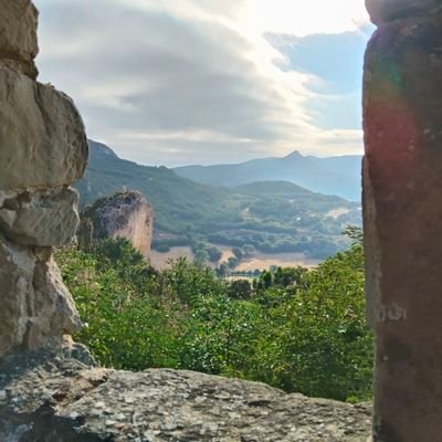 Ninefingers14's profile picture. 