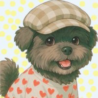 かるび (@jk0v069) 's Twitter Profile