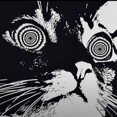 bbv0xx's profile picture. solana.