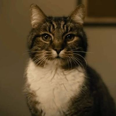 ⚠️FICTION※全て二次創作による演出・個人団体に関連性無し。映画ドラマゲーム漫画アニメ芸能雑学エンタメスキー。天才も探す 日常つぶやき 暇なときにネタ、壁紙、画像創作など たまに実況 ※新旧投稿触れ幅が広いのでフォロー非推奨(汗)
