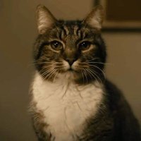 イーサン・ハント800 (@dorion73uv28k) 's Twitter Profile Photo