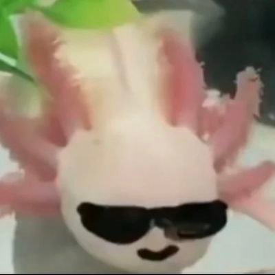 ともっちゅりんさんのプロフィール画像