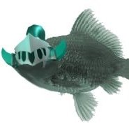 egophish Profile