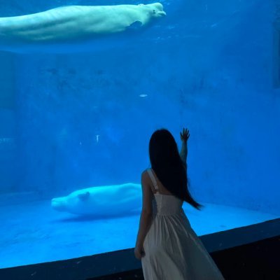 Issacusvrw's profile picture. Golf, traveling, eating delicious food, doing charity activities, and making some investments in my spare time.
