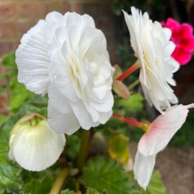 Alltaglich2345's profile picture. Die kleinen Dinge sind die wertvollsten. 💔 Reden wir über alltägliche Dinge.....💔