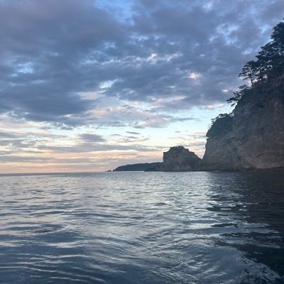 fjudi36's profile picture. 