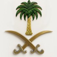 بطل القارة 💚 abdullah alharbi (@atalharbi2) 's Twitter Profile