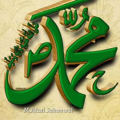 amir_alymani's profile picture. مجاهد في سبيل الله