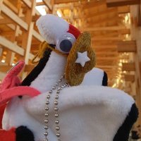 すずこ (@mushjr) 's Twitter Profile