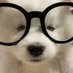 ลล ver 2. ೀ (@froggylover42) Twitter profile photo ลล ver 2. ೀ (@froggylover42) Twitter profile photo