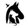 sdhumane's profile picture. Dedicated to creating a more humane world. Featuring inspiring stories and adoptable animals! #InspireCompassion 619-299-7012 | info@sdhumane.org