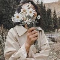 Beatrice (@albropaw689242) 's Twitter Profile