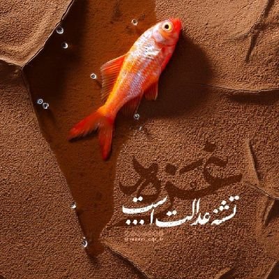 فعال اجتماعی و رسانه /کتابخوان🕊️/متعهد💍/هنرمند /عاشق طبیعت و سفر 🌱💚
#فالوبک_فوری