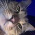 leo! (@matinobergon) Twitter profile photo leo! (@matinobergon) Twitter profile photo