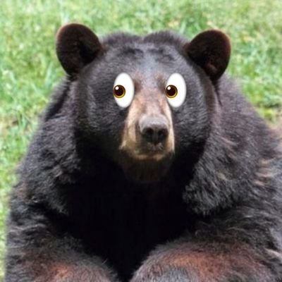 ESP/ENG •
Casually a bear • 19 • A bit awkward • Minors DNI • DMs open