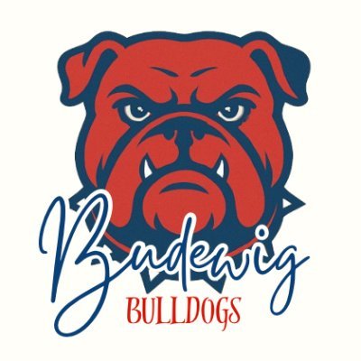 Official X page for the Budewig Intermediate Library. All tweets are shared by Ms. Chandrahasan, your Budewig Intermediate librarian.