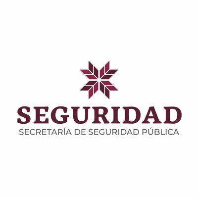 Seguridad Pública de Hidalgo Profile