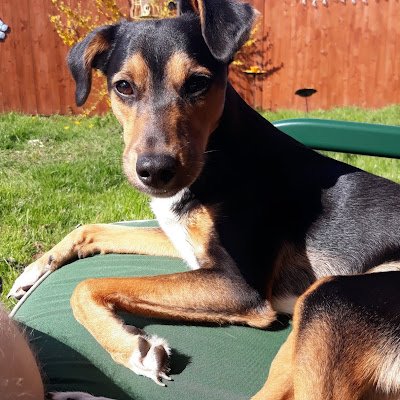 DRichings82585's profile picture. 