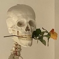 Orinel (@orinelash) 's Twitter Profile