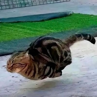 Cruiser7497's profile picture. 