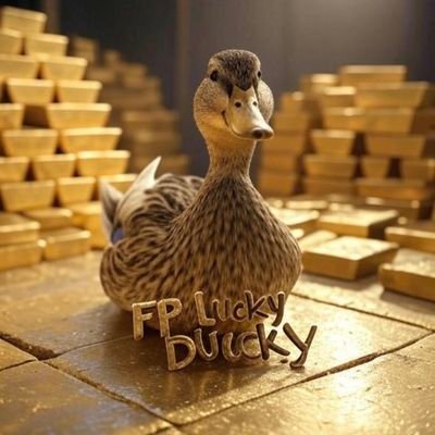 FPL_LuckyDucky's profile picture. FPL, Pokemon, Football shirts, among other varied and random as F thoughts