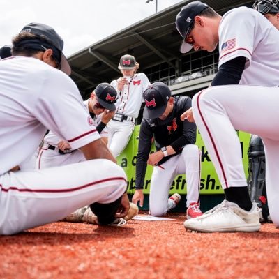 @BaseballMU Assistant Coach & Alum || @DACCBaseball Alum || Danville, IL