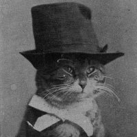 The Hat Man (@benadrylcryptid) 's Twitter Profile