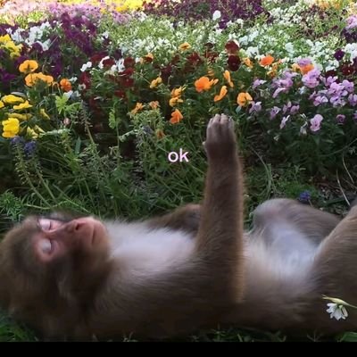 dmieraa's profile picture. BAKIT