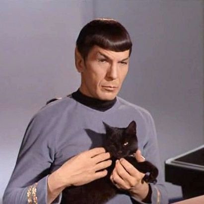 purpIehwa's profile picture. 24 | casual stan of many things but i mostly prefer to yap abt ateez, dan & Phil, music, and fashun :3