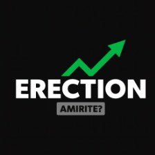 Erection Profile