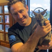 Gerd J Schäfer (@ger27196j) 's Twitter Profile