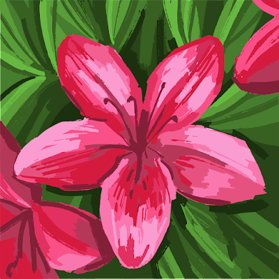 duygunureser2's profile picture. 