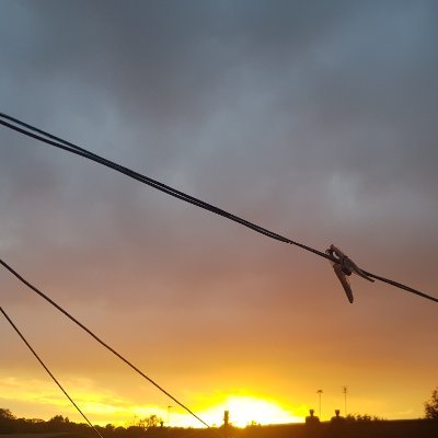 Ghaidhealaibh's profile picture. Official Twitter account for Gall-Ghàidhealaibh. 

Youtube + Instagram under same name