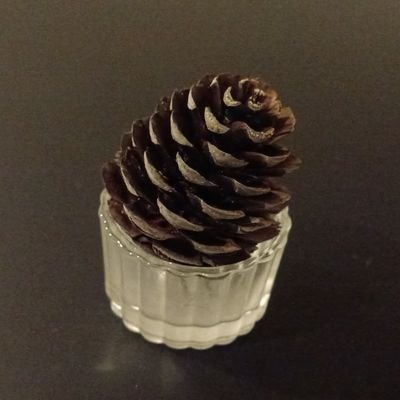 fantastiQ8's profile picture. own ideas, own research, do not copy