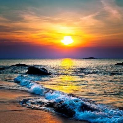 hamzaumar55905's profile picture. SPECIALITY