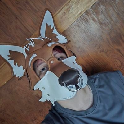 kodithepup's profile picture. she/her 
they/them
cinnamon husky
werewolf
pup owned by @YourMadameRose