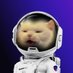catpirate ∞ Profile picture
