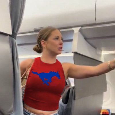 Pony up SMU. Cal Softball. Dallas Stars Hockey. 26. crazy cat lady. Bi. parody/burner account