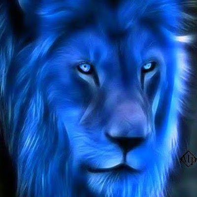 lnmxio327211's profile picture. 