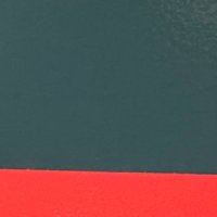 wes (@1phylum) 's Twitter Profile