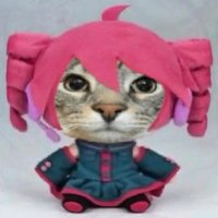 🔻It's Leit🔻 (@latterxdxd) 's Twitter Profile Photo 🔻It's Leit🔻 (@latterxdxd) 's Twitter Profile Photo