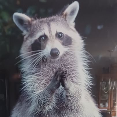 Christian
JESUS CHRIST is LORD
No DMs, no porn bots, I do not want to get rich.