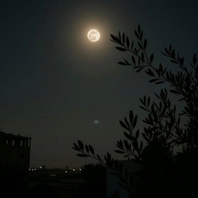 الشر عند البشر و الخير عند الله ابعد عن الشر .. لكن ﻻ تغنيله ﻻنسان لا صارت اعماله لوجه الله ما عاد يحتاج حتى الناس تدعيله