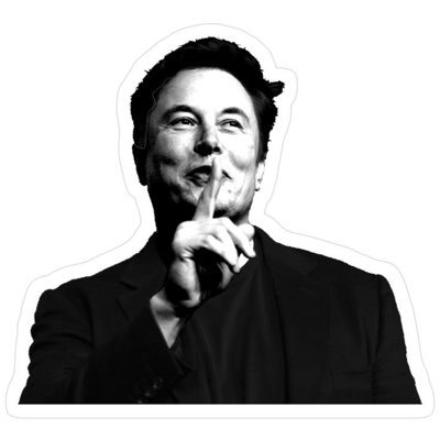 Son of Elon Musk. Self Media. MEGA never speak ill of my Dad. Stay safe, God Bless America🇺🇸🪐