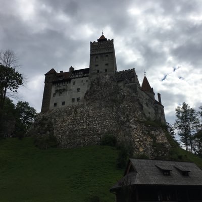 steventhorpe63's profile picture. 