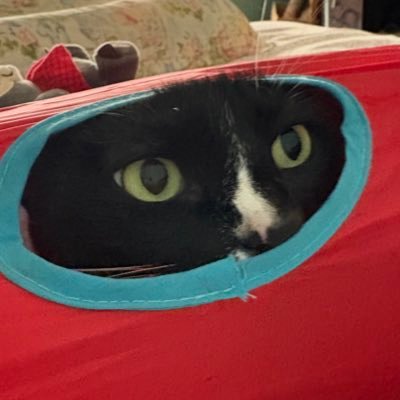 sapphicsnoopy's profile picture. the thoughts and views expressed here reflect those of johnny from nct | 27 🏳️‍🌈